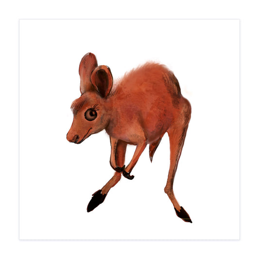 Kangaroo - Archival Print
