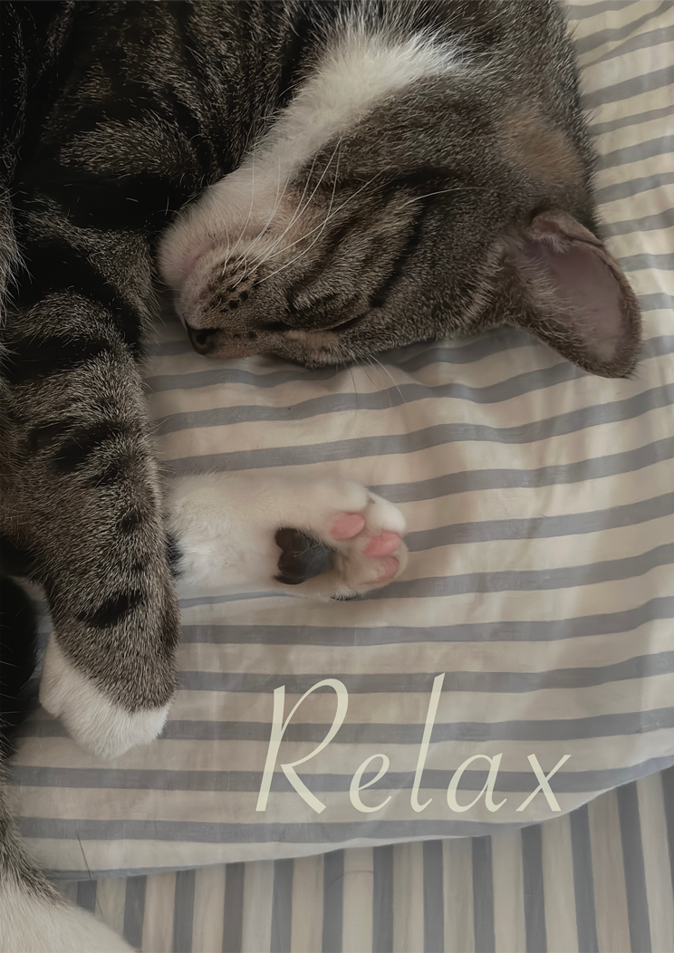 Relax – Cat Print