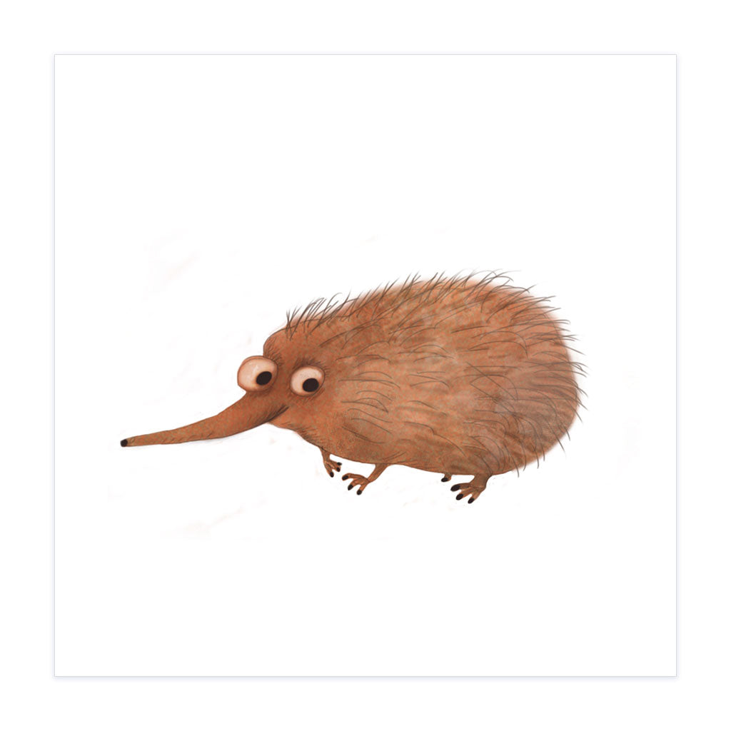 Echidna - Archival Print