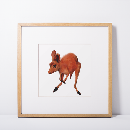Kangaroo - Archival Print